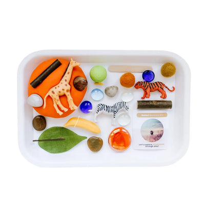 Children's Sensory Play Dough Kit